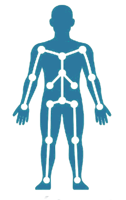 Qu’est-ce que l’ingénierie biomécanique ?